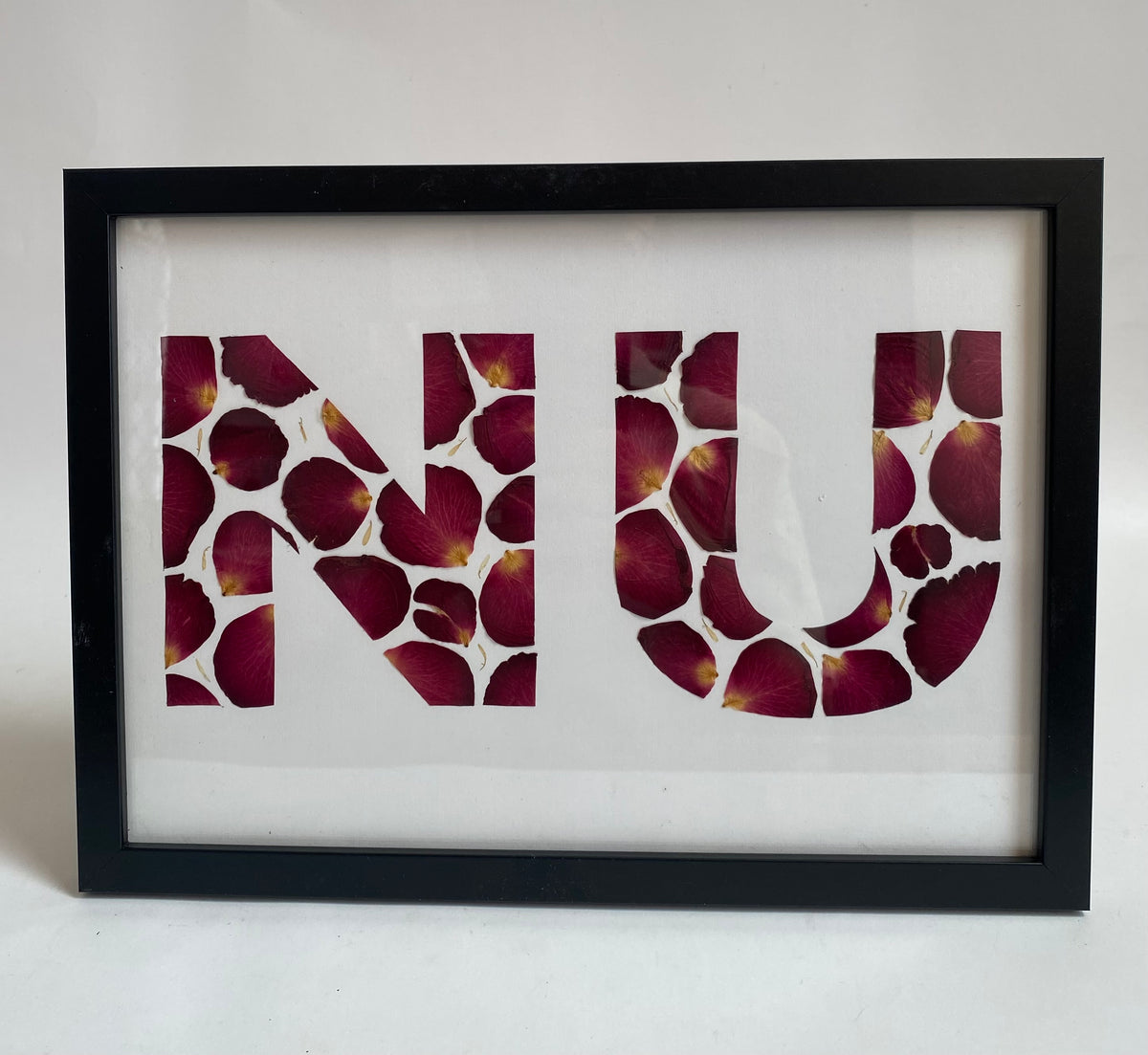 Pressed Flower Art Frame